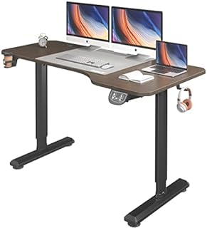 Dripex Escritorio Elevable Eléctrico 160x75cm, Standing Desk Escritorio Ajustable en Altura con Tablero, Función de Memori...