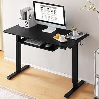 WOLTU Escritorio Elevable Electrico en Altura 72-120 cm, Mesa Regulable en Altura con Tablero de 120x60 cm, Standing Desk ...