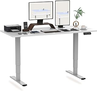 FLEXISPOT EC5 Escritorio Elevable Eléctrico con Tablero Blanco Entero(120X60cm) - Standing Desk, Ajustable en Altura 62-12...